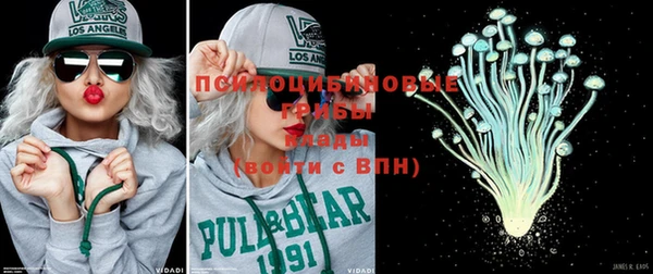 a pvp Няндома